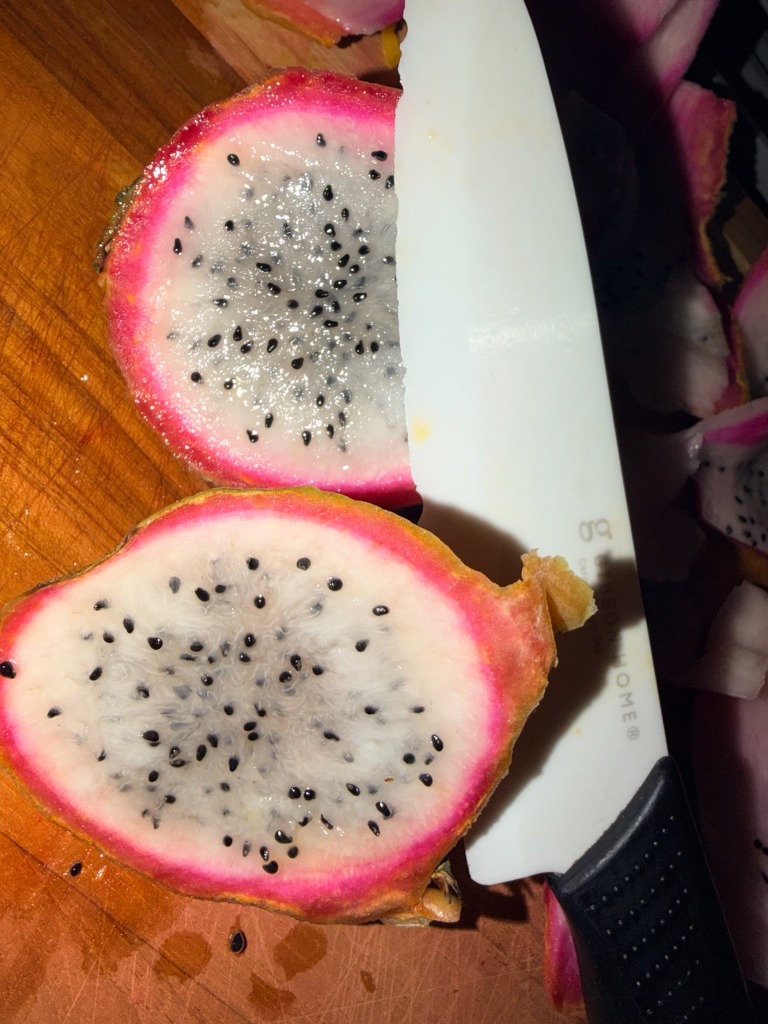 Real Honeycomb Porous Interior of Freeze Dried Gelato Paleta