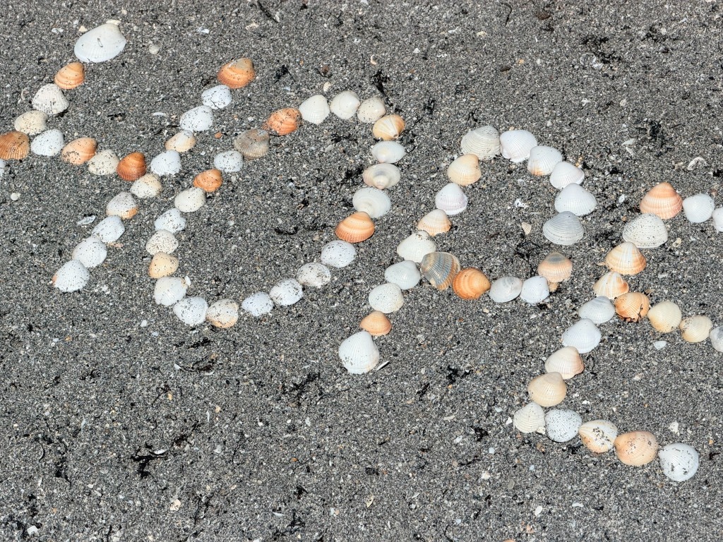 Hope Spelled in Florida Seashells