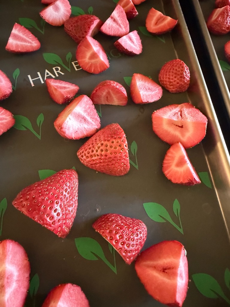 Fresh Harvest Right Prep Tray